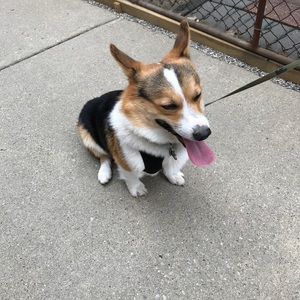 Meet your Posher, Kendall